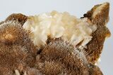 Thomsonite (Zeolite) and Stilbite - Maharashtra, India #184740-2